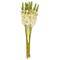 34" White Eremurus Artificial Flower Stem, 8ct.